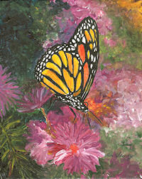 Monarch Butterfly