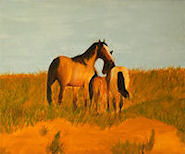 Horses in Pasture